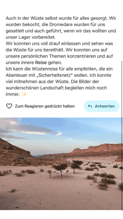 Feedback-Wuesten-Retreat-06